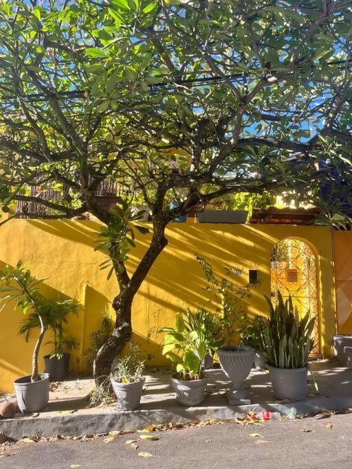 Quartos Na Casa Amarela ซัลวาดอร์ ภายนอก รูปภาพ